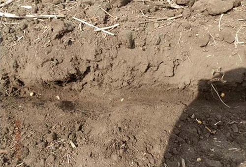 На пути к «сухому земледелию»