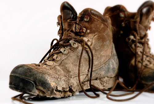 Три мифа о дезинфекции птичников