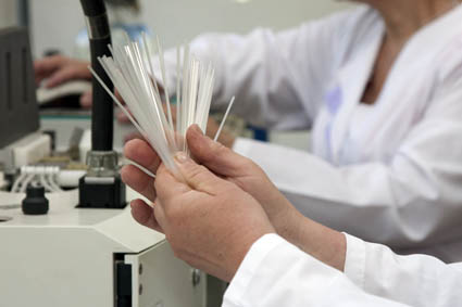 Эффективное осеменение коров в современном животноводстве