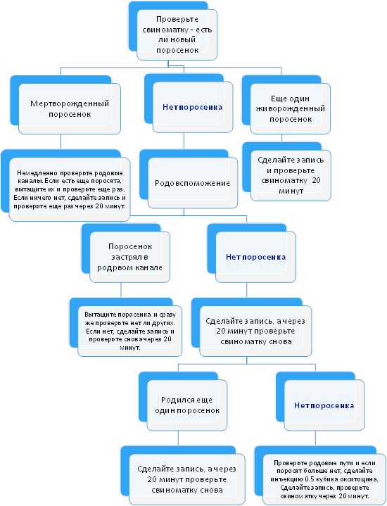 «Быть там» - следить за ходом опороса