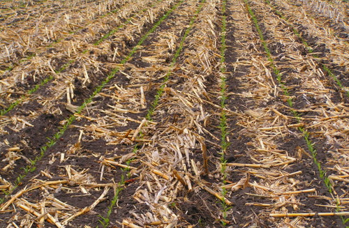 Как выбрать технику для качественной обработки почвы