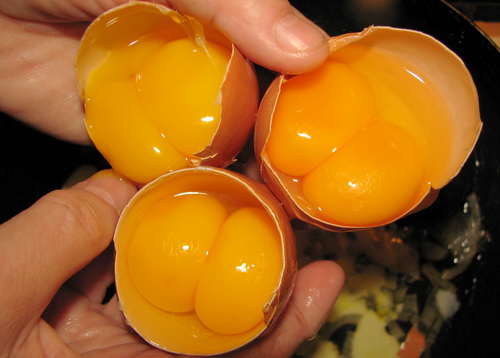 Как помочь курам нести качественные яйца