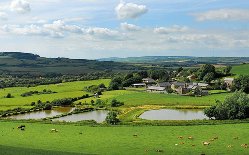 Устойчивое сельское хозяйство спасет планету для будущих поколений