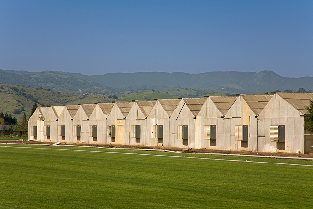 Как предотвратить пожар в птичнике?