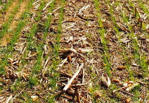 Как выбрать технику для качественной обработки почвы