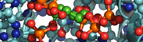 Фитаза нового поколения улучшает конверсию корма