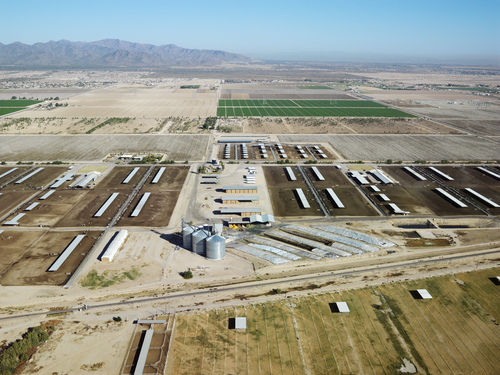 Сельхозперепись в вопросах и ответах