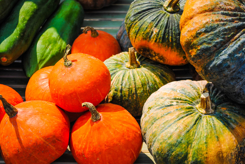 Бинарное земледелие дает возможность производить биотопливо, не уходя от выращивания овощных культур