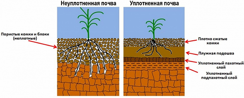 Уплотнение почвы снижает эффективность земледелия